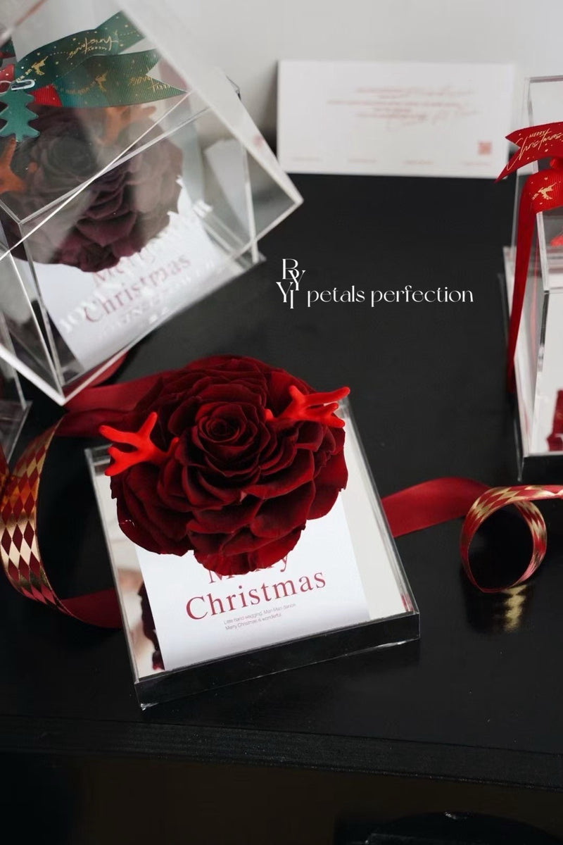 Christmas Preserved Ecuador Rose Gift Box