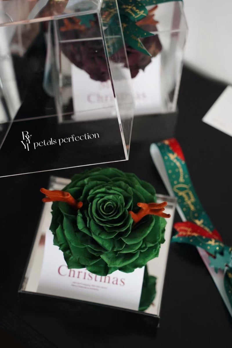 Christmas Preserved Ecuador Rose Gift Box